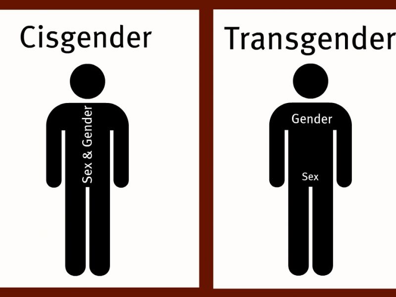 Схематичная разница между цисгендером и трансгендером