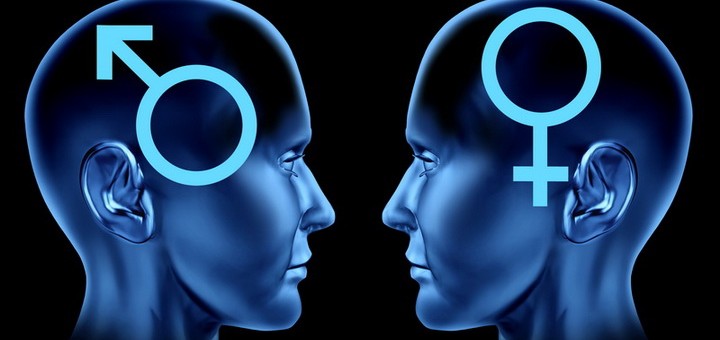 Две головы, обозначенные мужским и женским символами
